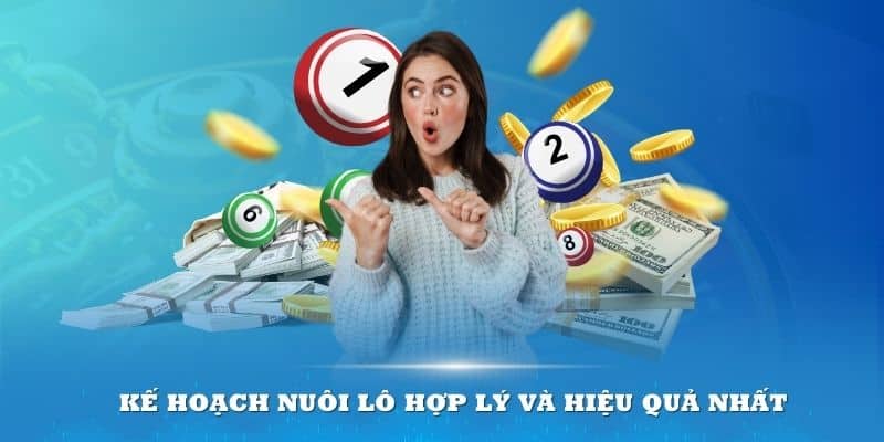 Lên một kế hoạch nuôi lô hợp lý và hiệu quả nhất